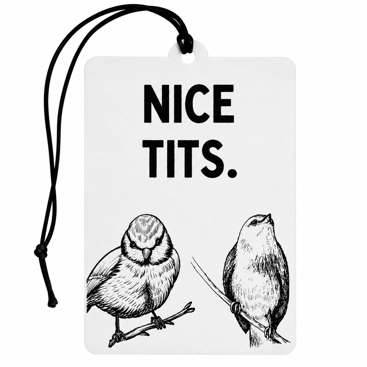 Nice Tits car air freshener featuring bold black lettering and two detailed black and white bird illustrations perched on branches with black hanging cord.